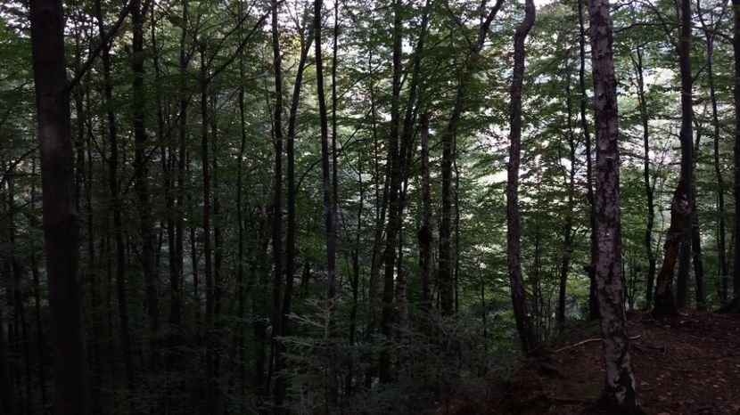 1506246127565-2118800407 - Excursii