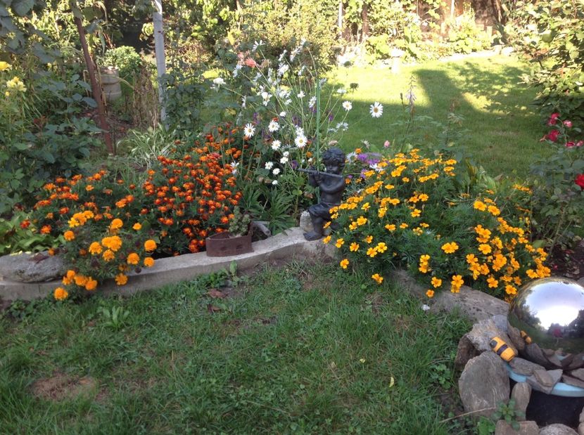  - Gradina de flori 2017