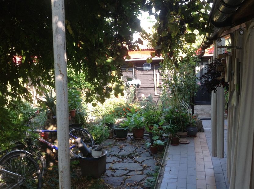  - Gradina de flori 2017