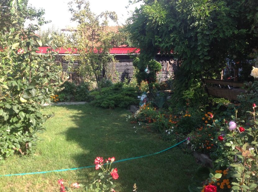  - Gradina de flori 2017