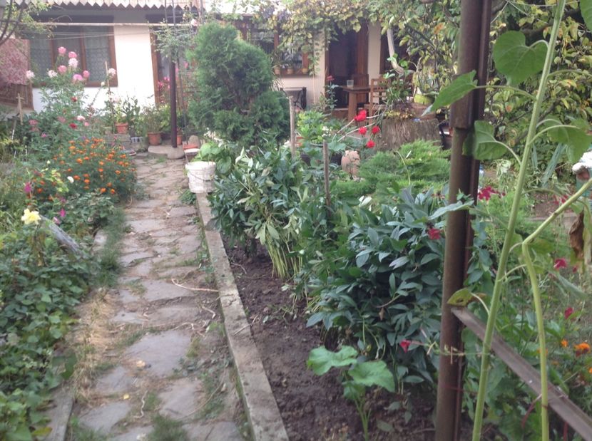  - Gradina de flori 2017