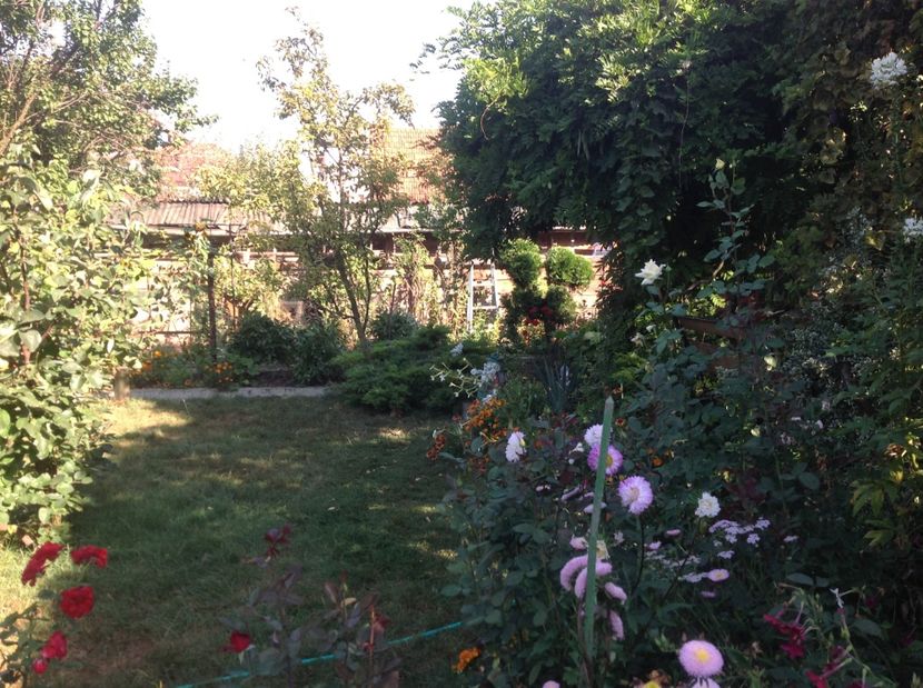  - Gradina de flori 2017