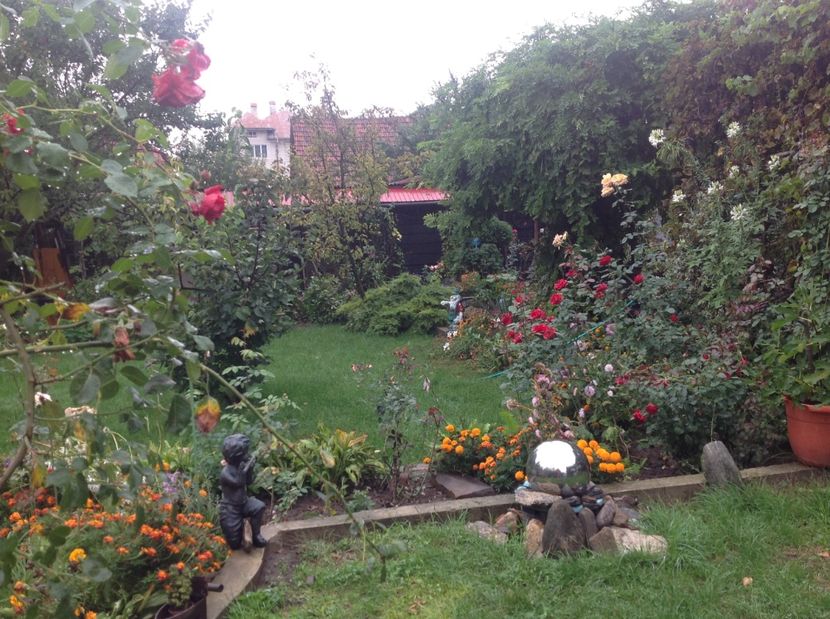  - Gradina de flori 2017