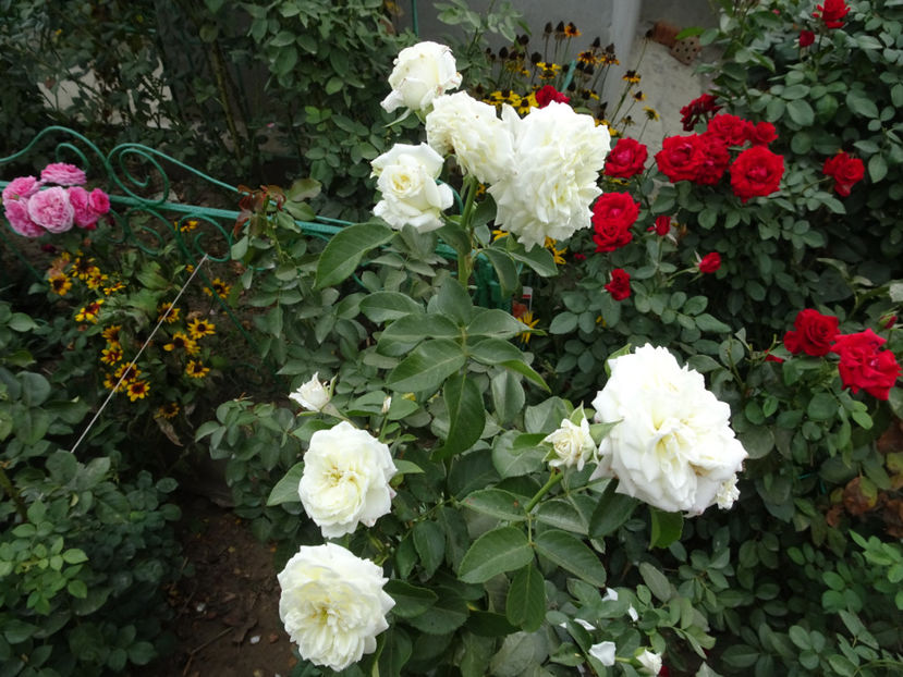 21 sept. - Alabaster