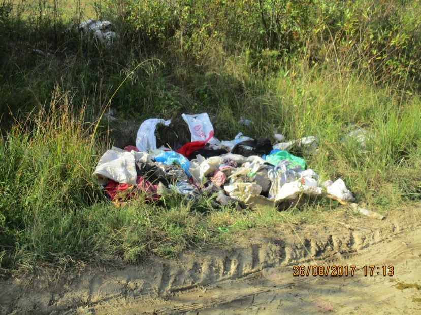  - COBORATUL DE LA STANA 2017 Dealul Alb cu vacile