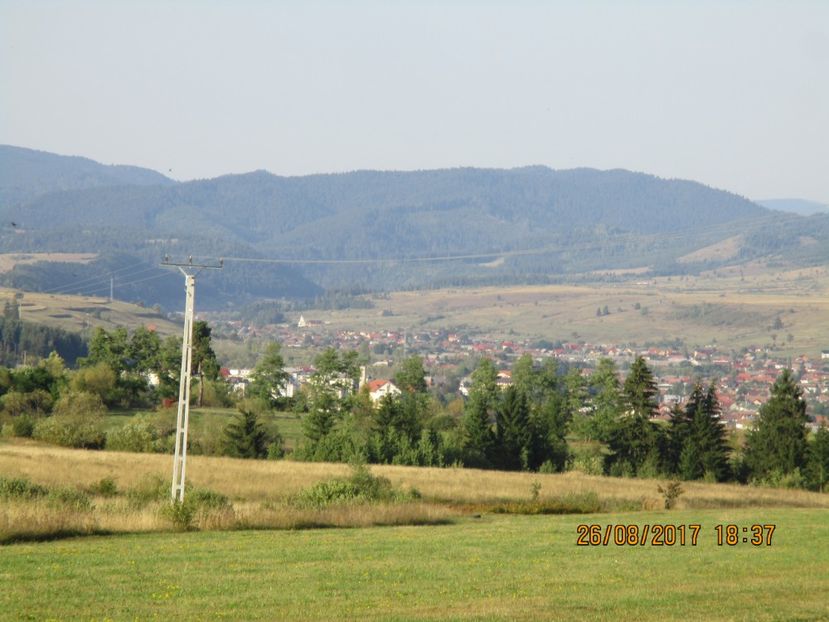  - COBORATUL DE LA STANA 2017 Dealul Alb cu vacile