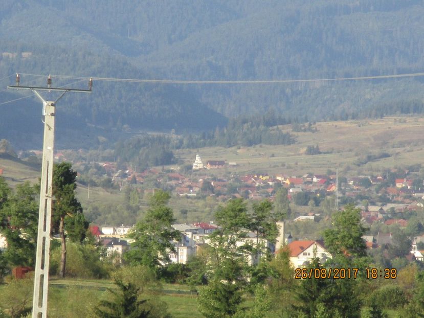  - COBORATUL DE LA STANA 2017 Dealul Alb cu vacile