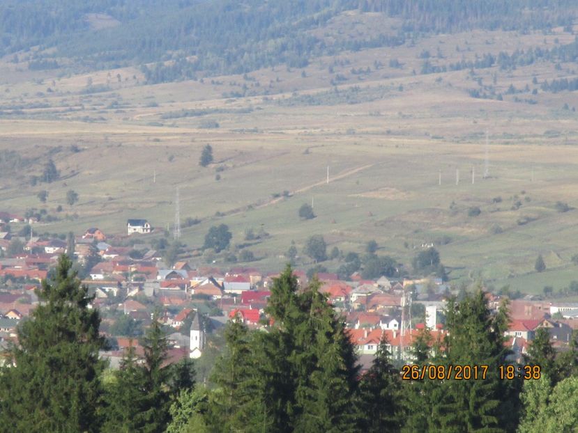  - COBORATUL DE LA STANA 2017 Dealul Alb cu vacile