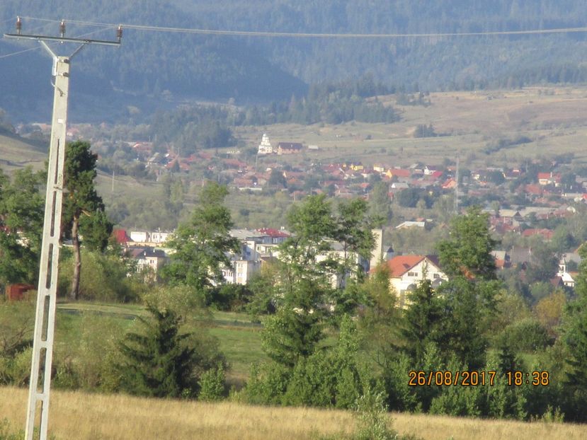  - COBORATUL DE LA STANA 2017 Dealul Alb cu vacile