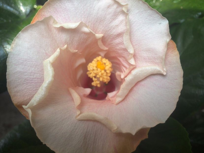 WIN_20170924_115147 - Leight Hunt