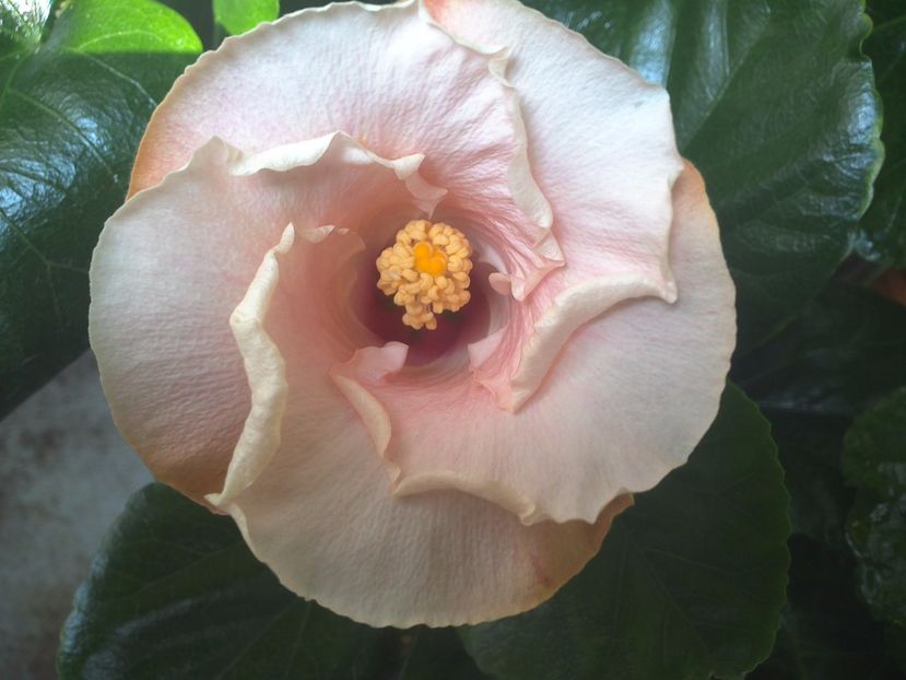 WIN_20170924_115207 - Leight Hunt