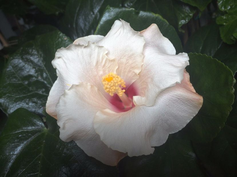 WIN_20170924_135740 - Leight Hunt