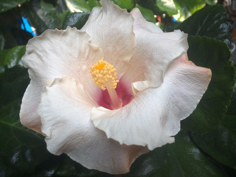 WIN_20170924_135836 - Leight Hunt