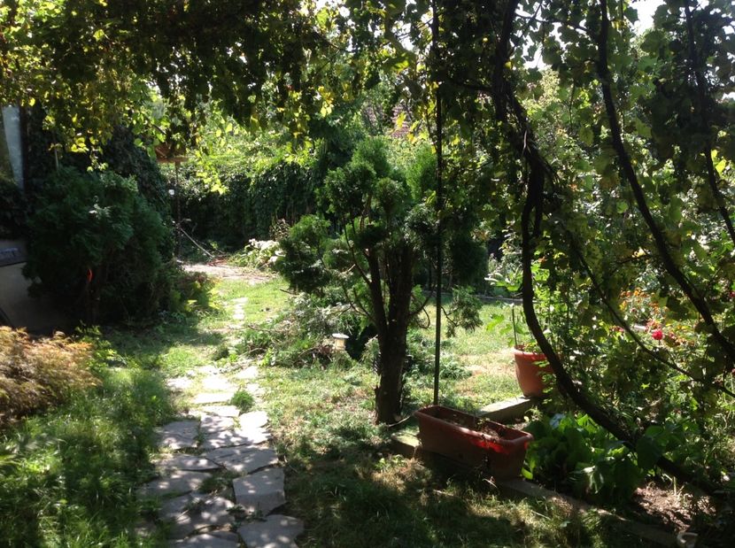  - Gradina de flori 2017