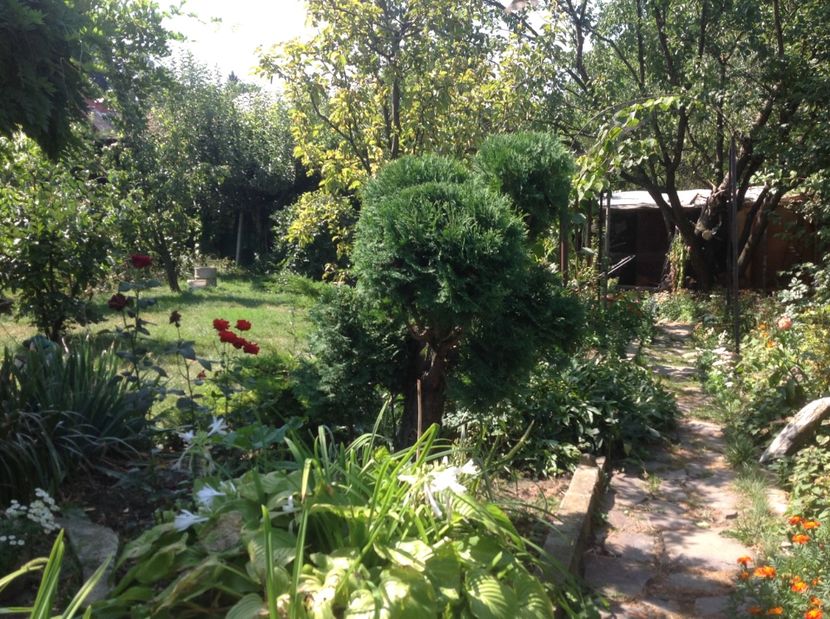  - Gradina de flori 2017