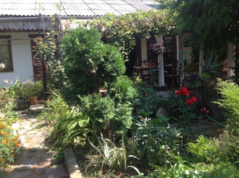  - Gradina de flori 2017