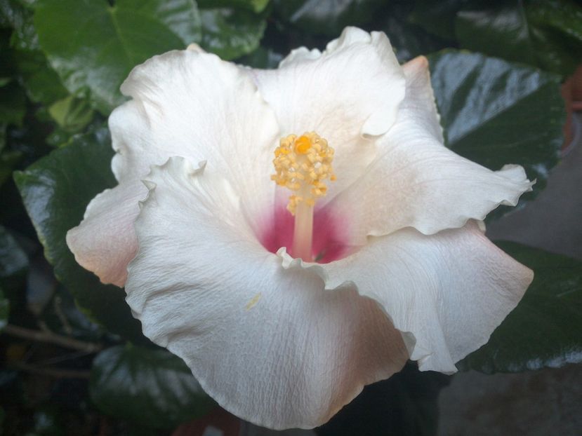 WIN_20170924_172144 - Leight Hunt