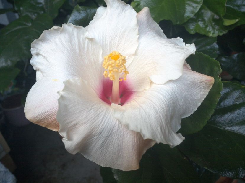 WIN_20170924_172209 - Leight Hunt