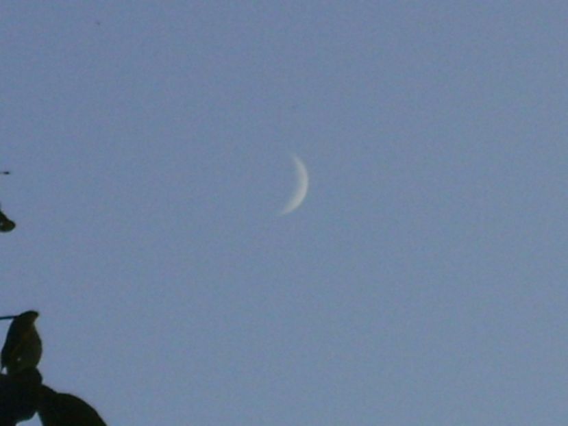 Luna Noua in Scorpion - Luna - Soarele si norii - 1