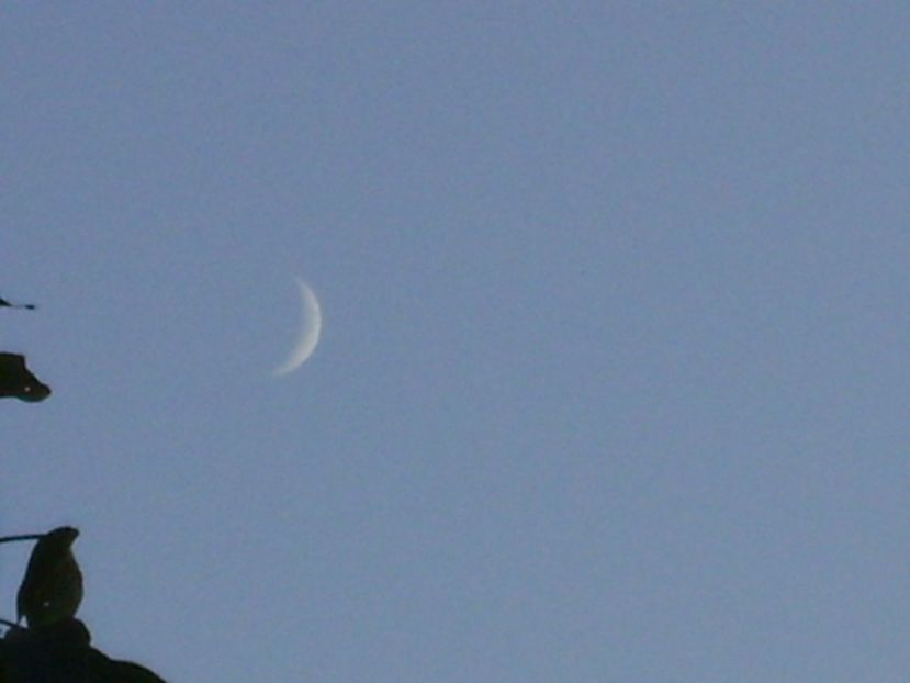 Luna Noua in Scorpion - Luna - Soarele si norii - 1