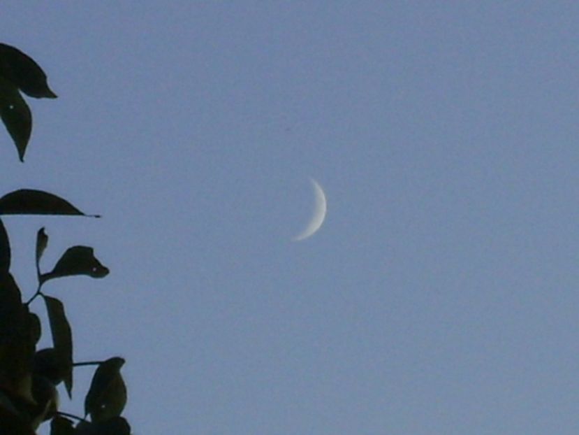 Luna Noua in Scorpion - Luna - Soarele si norii - 1