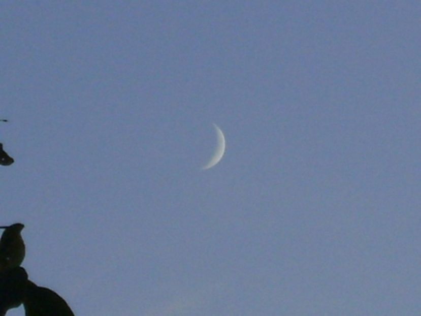 Luna Noua in Scorpion - Luna - Soarele si norii - 1