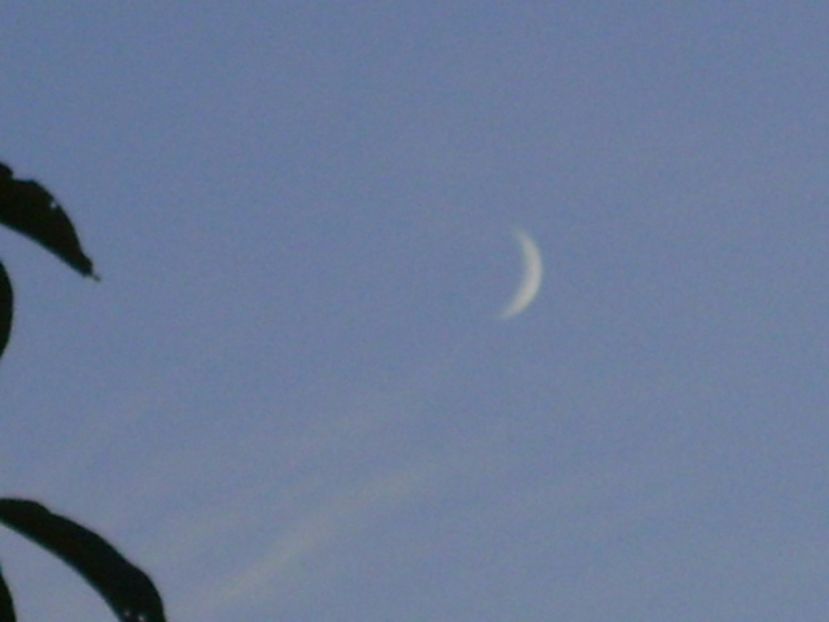 Luna Noua in Scorpion - Luna - Soarele si norii - 1