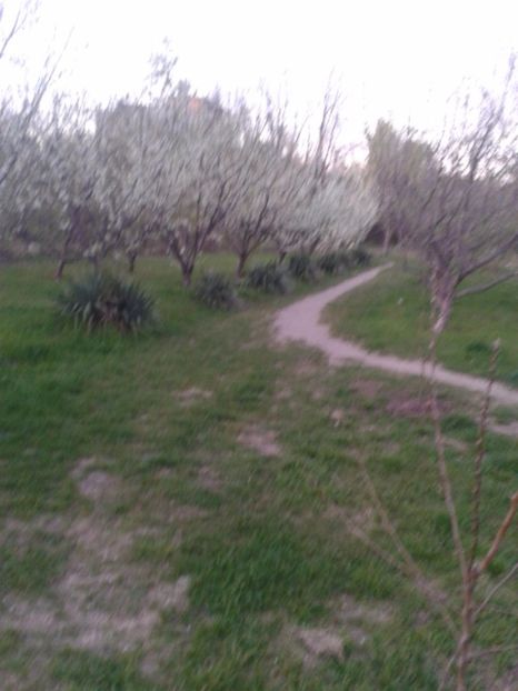 2017-04-02 19.56.48 - 2017 05 10 TEL ALLIEW MIHNEA