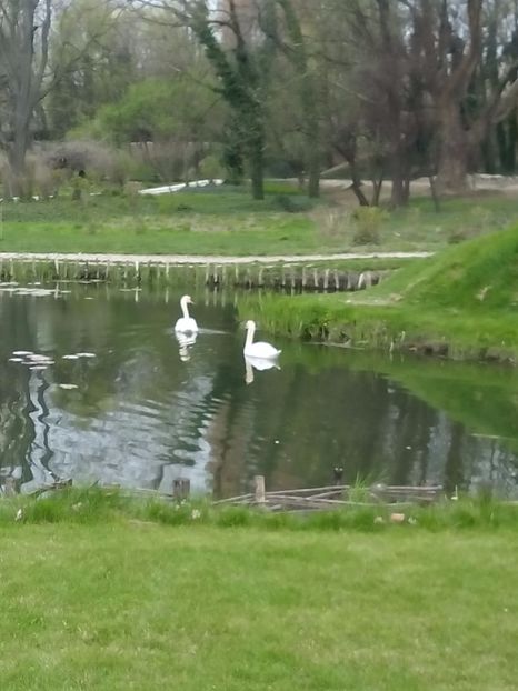  - 2017 05 10 TEL ALLIEW MIHNEA