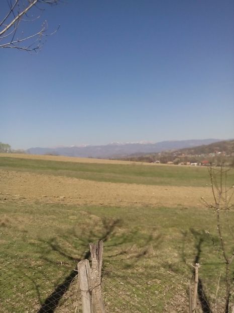  - 2017 05 10 TEL ALLIEW MIHNEA