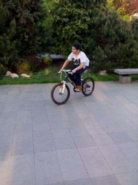  - 2017 05 10 TEL ALLIEW MIHNEA