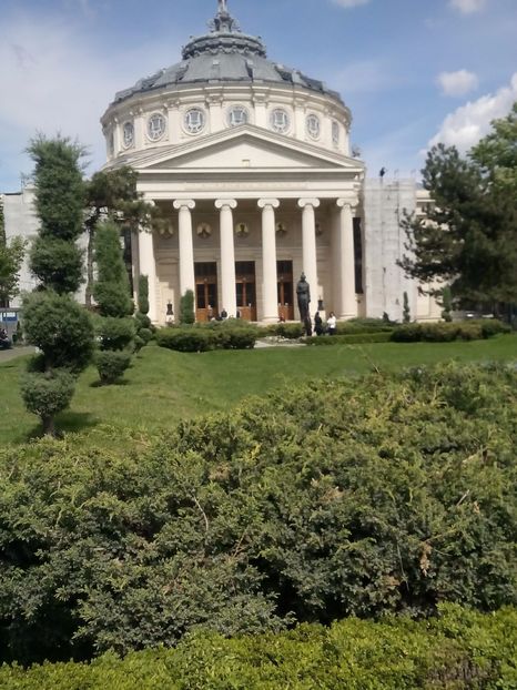  - 2017 05 10 TEL ALLIEW MIHNEA