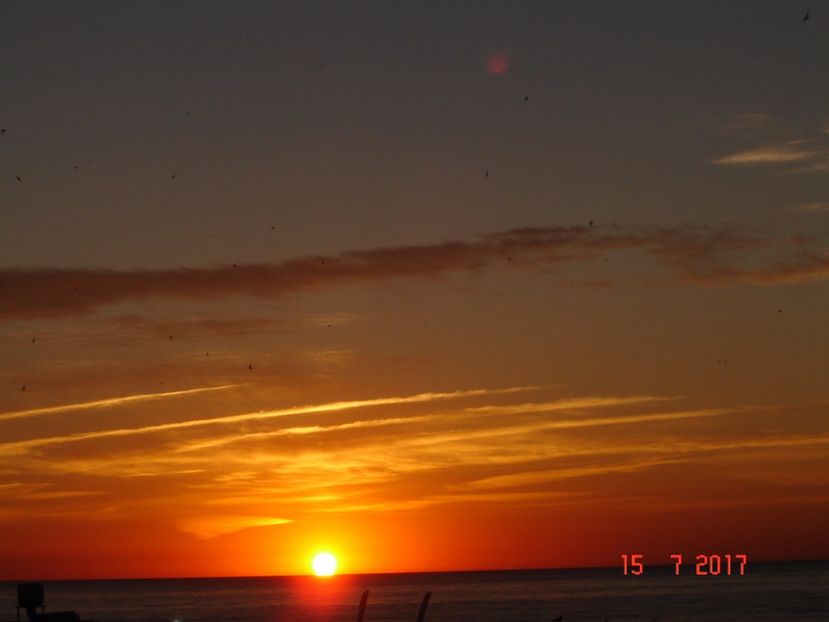  - 2017 07 15 CAMERA CO