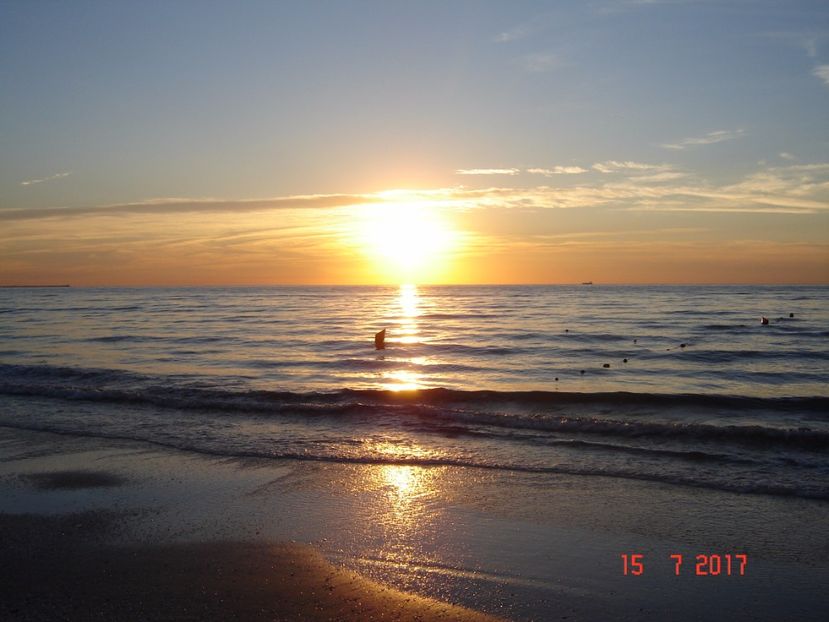  - 2017 07 15 CAMERA CO