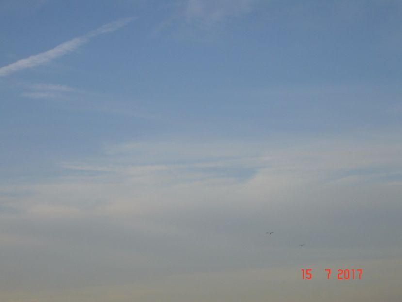  - 2017 07 15 CAMERA CO