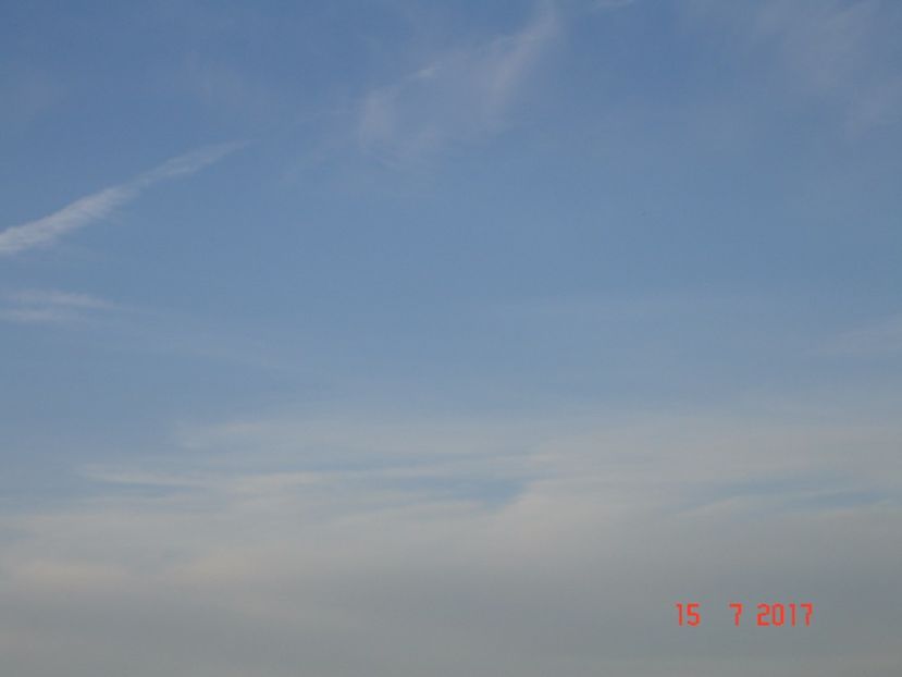  - 2017 07 15 CAMERA CO