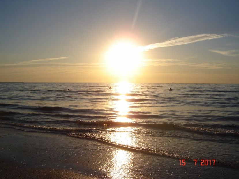  - 2017 07 15 CAMERA CO