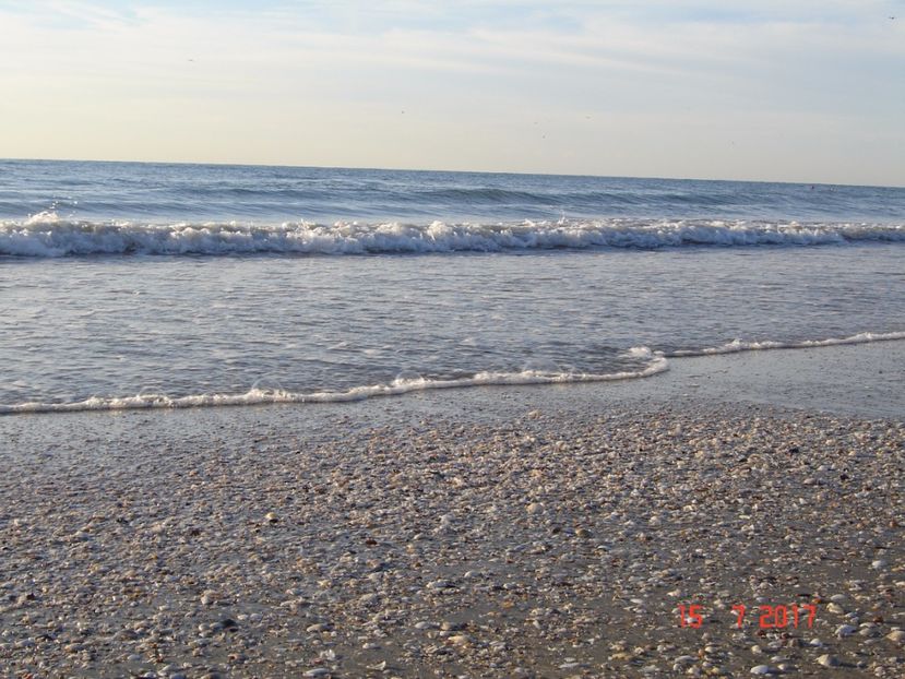  - 2017 07 15 CAMERA CO