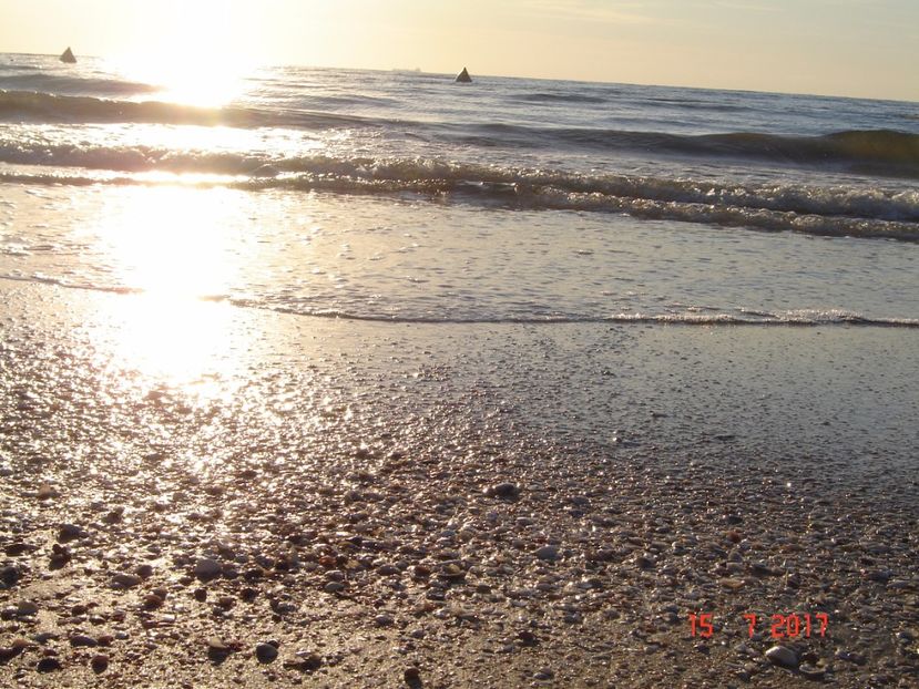  - 2017 07 15 CAMERA CO