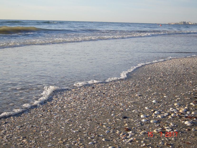  - 2017 07 15 CAMERA CO