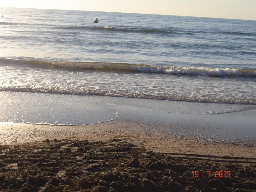  - 2017 07 15 CAMERA CO