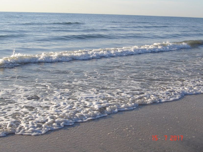  - 2017 07 15 CAMERA CO