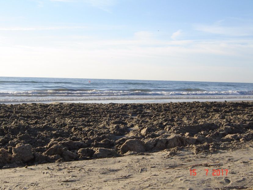  - 2017 07 15 CAMERA CO