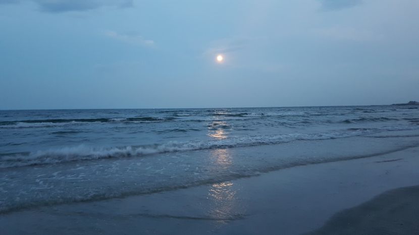  - 2017 08 08 TEL VLAD CO MARE