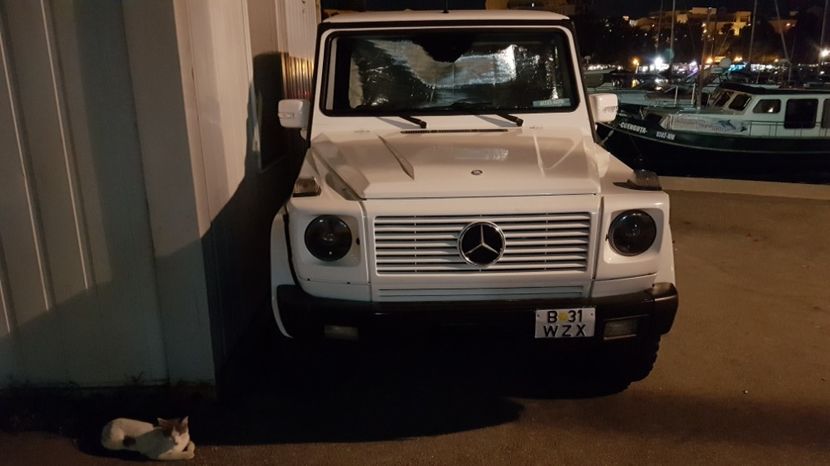  - 2017 08 08 TEL VLAD CO MARE