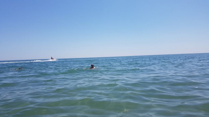 20170710_120921(0) - 2017 08 08 TEL VLAD CO MARE