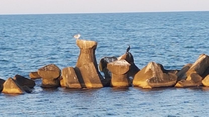  - 2017 08 08 TEL VLAD CO MARE