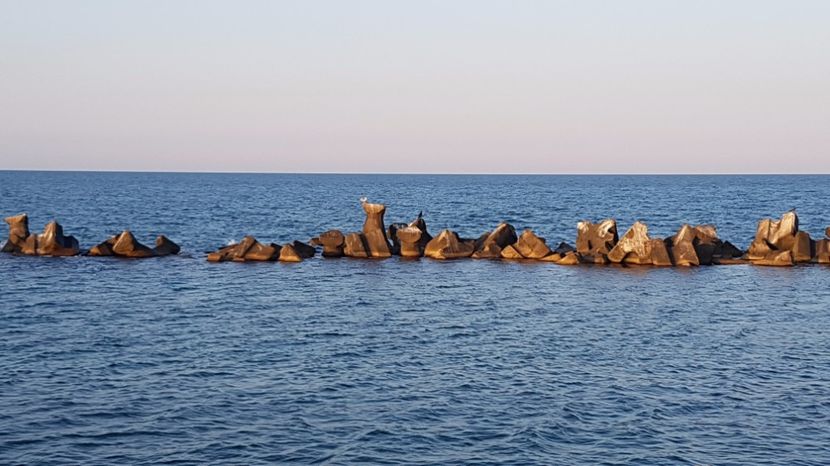  - 2017 08 08 TEL VLAD CO MARE
