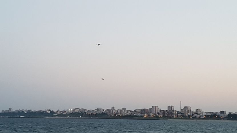  - 2017 08 08 TEL VLAD CO MARE