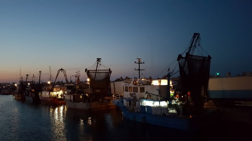  - 2017 08 08 TEL VLAD CO MARE